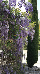 bastide nomade saint paul de vence